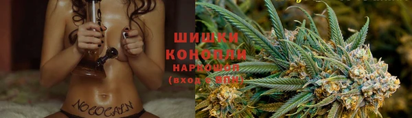 прущий лед Новозыбков