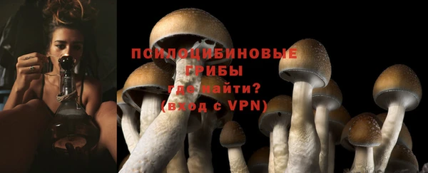 прущий лед Новозыбков