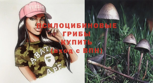 молекула духа Алексин