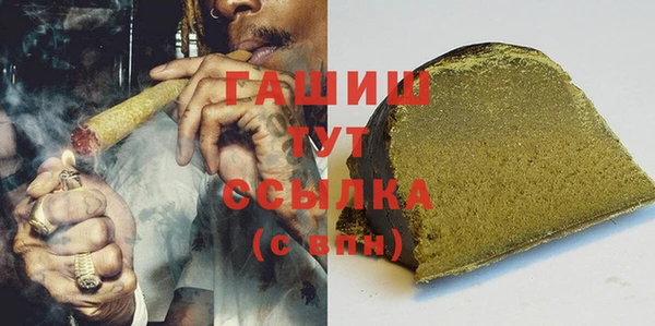 прущий лед Новозыбков