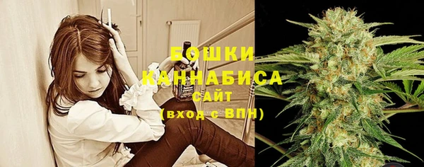 молекула духа Новокубанск