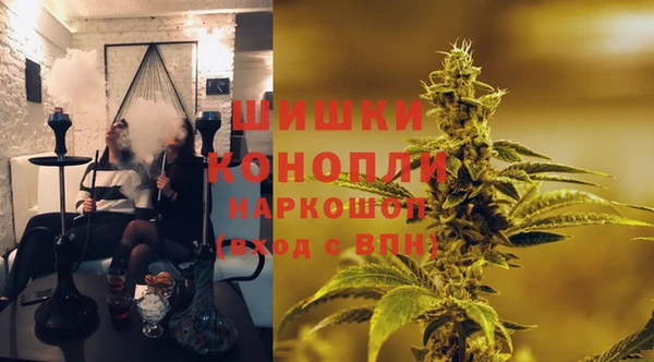 прущий лед Новозыбков