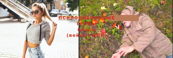 молекула духа Новокубанск