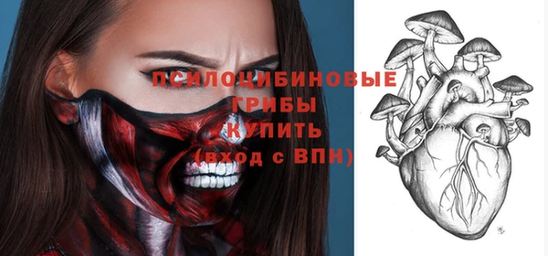 молекула духа Новокубанск