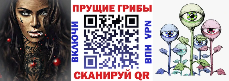 shop Telegram  Киржач  Псилоцибиновые грибы MAGIC MUSHROOMS  что такое наркотик 