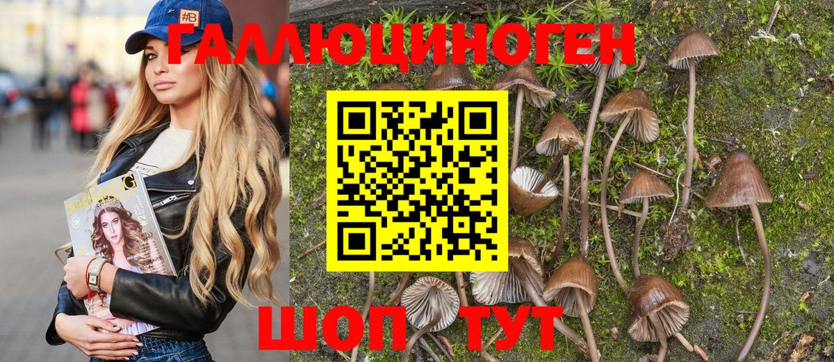 Псилоцибиновые грибы мухоморы  Псилоцибиновые грибы прущие грибы  Вход с VPN  Киржач 